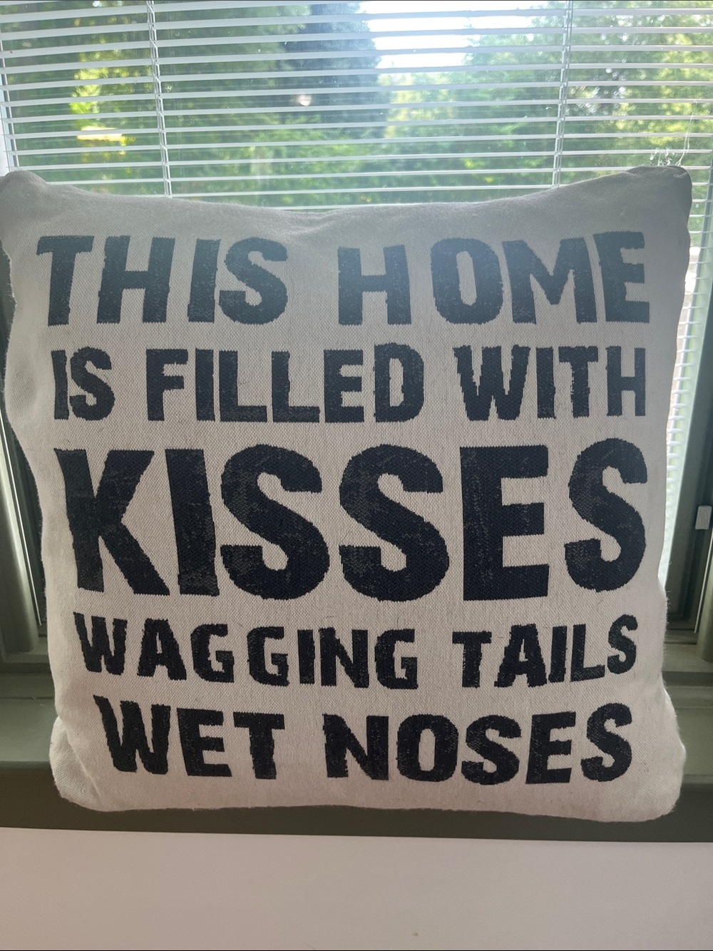 Home Accents Decorative Throw Pillow - Cream with Black Text